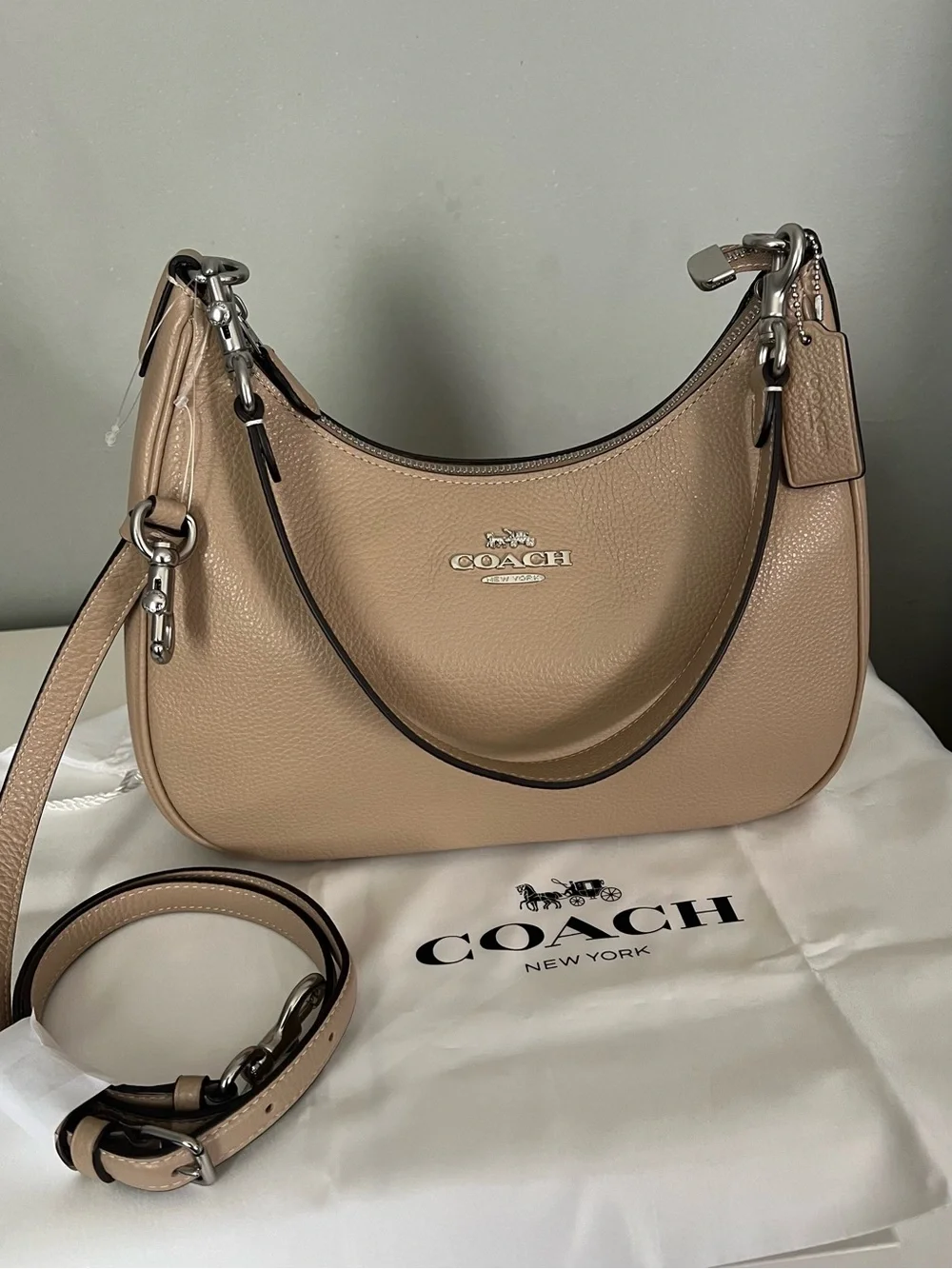 Coach Teri Hobo Bag
